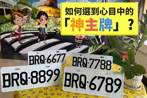 4號車牌|車牌會有4嗎？數字4已從車牌號碼中移除